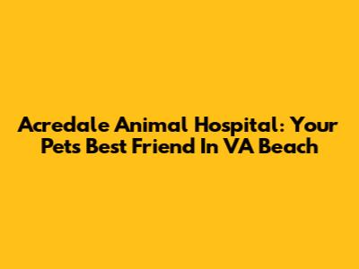 Acredale Animal Hospital: Your Pet's Best Friend In VA Beach