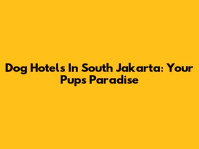 Dog Hotels In South Jakarta: Your Pup's Paradise