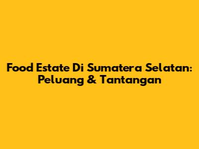 Food Estate Di Sumatera Selatan: Peluang & Tantangan
