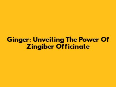 Ginger: Unveiling The Power Of Zingiber Officinale