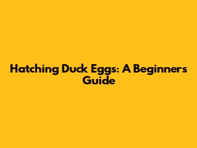 Hatching Duck Eggs: A Beginner's Guide