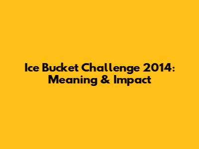 Ice Bucket Challenge 2014: Meaning & Impact
