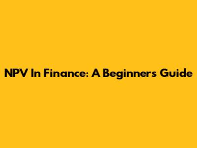 NPV In Finance: A Beginner's Guide