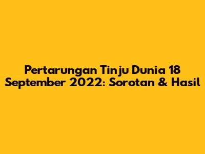 Pertarungan Tinju Dunia 18 September 2022: Sorotan & Hasil