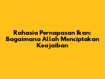 Rahasia Pernapasan Ikan: Bagaimana Allah Menciptakan Keajaiban