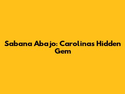 Sabana Abajo: Carolina's Hidden Gem