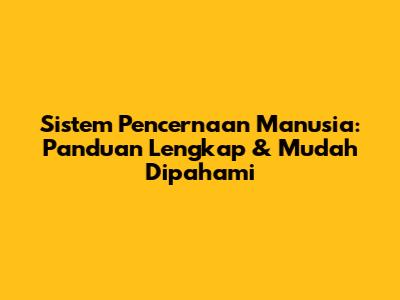 Sistem Pencernaan Manusia: Panduan Lengkap & Mudah Dipahami