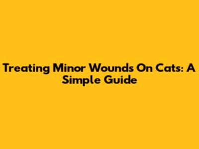 Treating Minor Wounds On Cats: A Simple Guide
